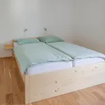 Mulej *
