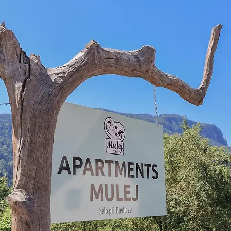 Mulej Apartment *